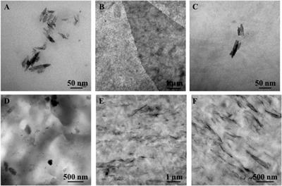 Hybrid Graphenene Oxide/Cellulose Nanofillers to Enhance Mechanical and Barrier Properties of Chitosan-Based Composites